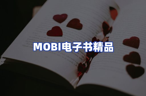 外文电子书产品