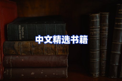 中文精选书籍